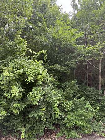 0.41 Acres of Residential Land for Sale in Nashville, Tennessee