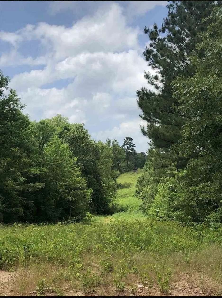 35 Acres of Agricultural Land for Sale in Gilmer, Texas