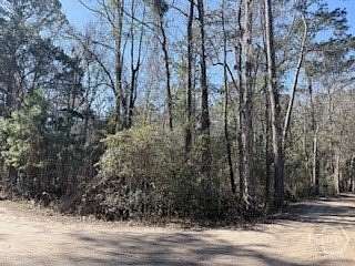 0.33 Acres of Land for Sale in Midway, Georgia