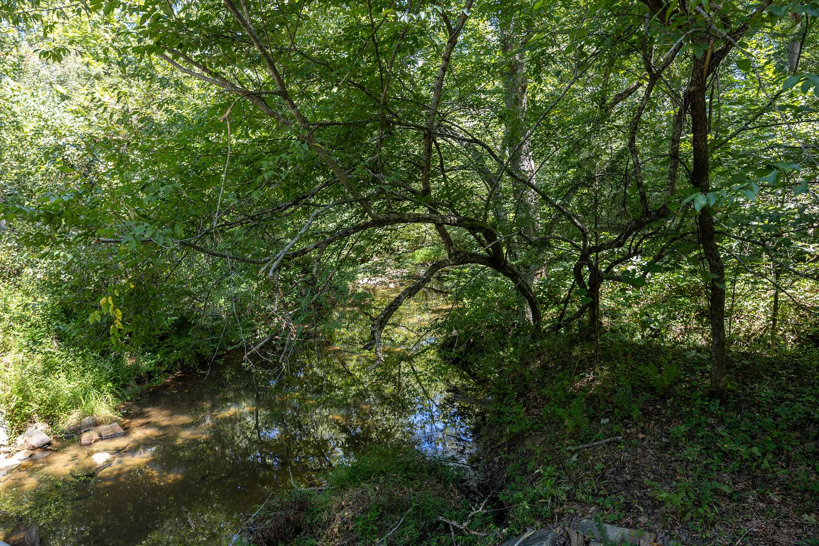 15.3 Acres of Recreational & Residential Land for Sale in Gretna, Virginia