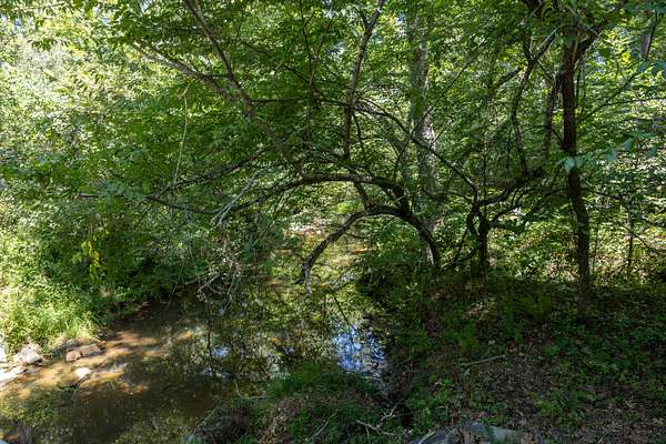 15.3 Acres of Recreational & Residential Land for Sale in Gretna, Virginia
