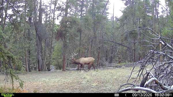 20 Acres of Recreational Land for Sale in Alma, Colorado