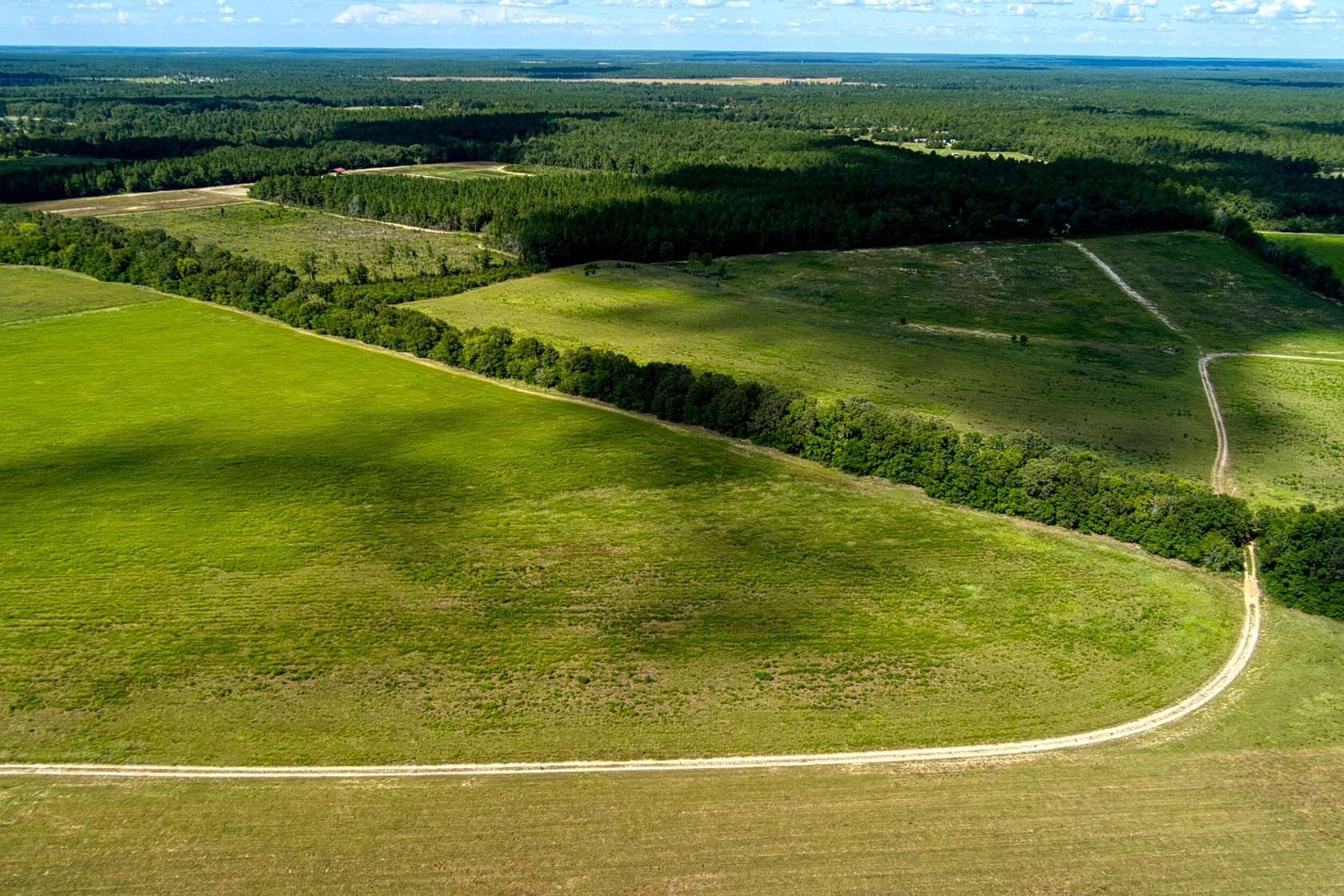 118 Acres of Land for Sale in Williston, South Carolina