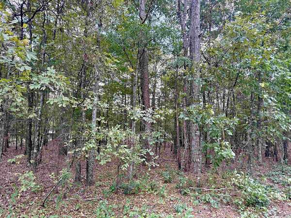 0.5 Acres of Residential Land for Sale in Higden, Arkansas