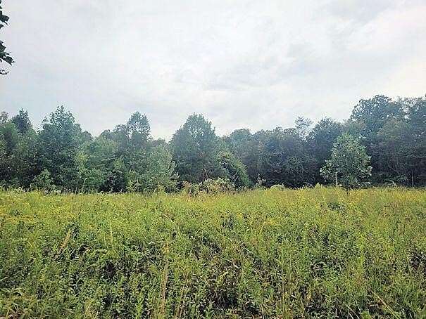 25.1 Acres of Recreational Land for Sale in McKee, Kentucky