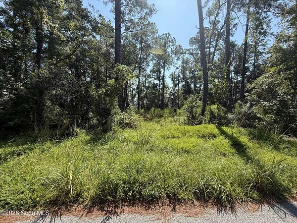 0.74 Acres of Residential Land for Sale in Brunswick, Georgia