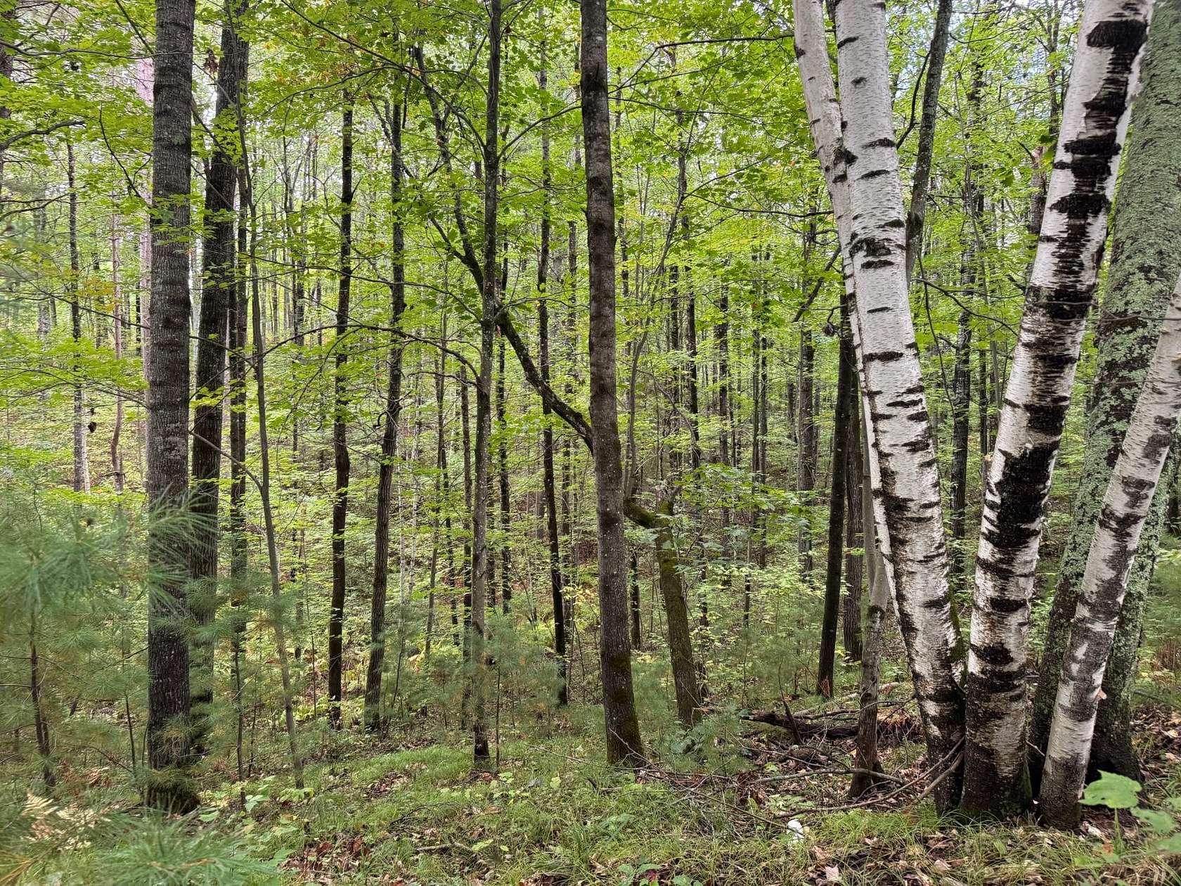5.72 Acres of Residential Land for Sale in Minocqua, Wisconsin