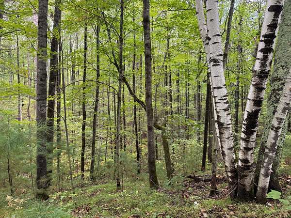 5.72 Acres of Residential Land for Sale in Minocqua, Wisconsin