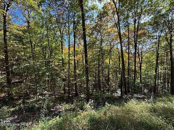 0.5 Acres of Land for Sale in Topton, North Carolina