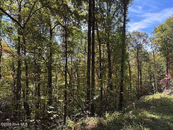 0.77 Acres of Land for Sale in Topton, North Carolina
