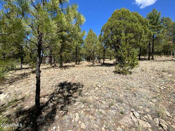 0.83 Acres of Residential Land for Sale in Happy Jack, Arizona