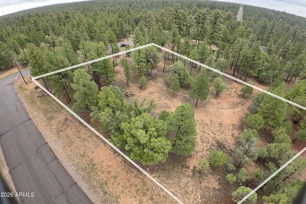 0.83 Acres of Residential Land for Sale in Happy Jack, Arizona
