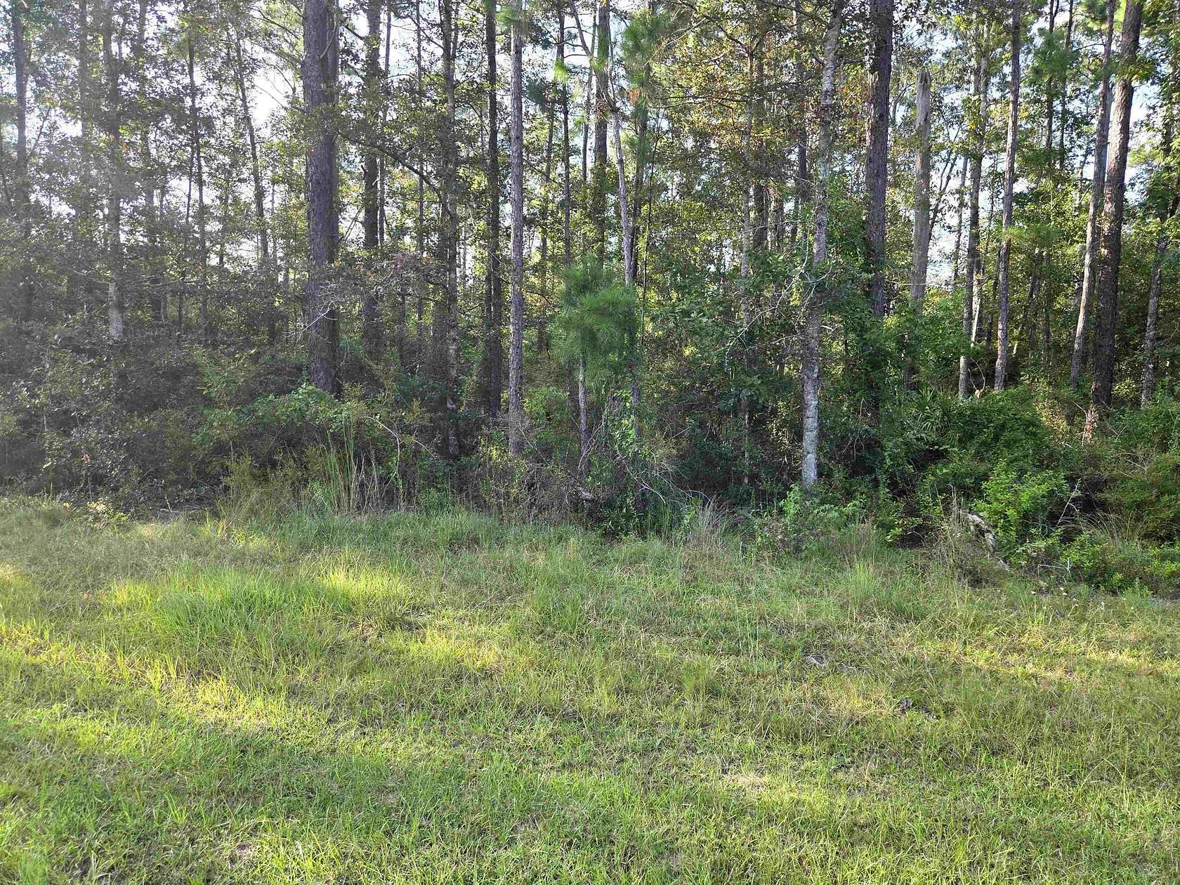 3 Acres of Residential Land for Sale in Bristol, Florida