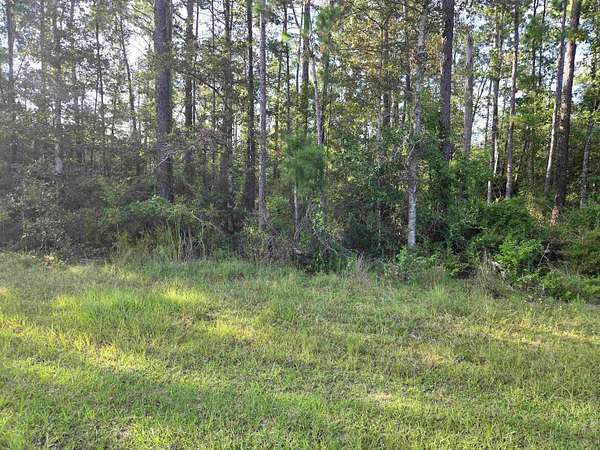 3 Acres of Residential Land for Sale in Bristol, Florida