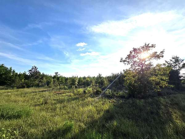 10 Acres of Land for Sale in Bristol, Florida