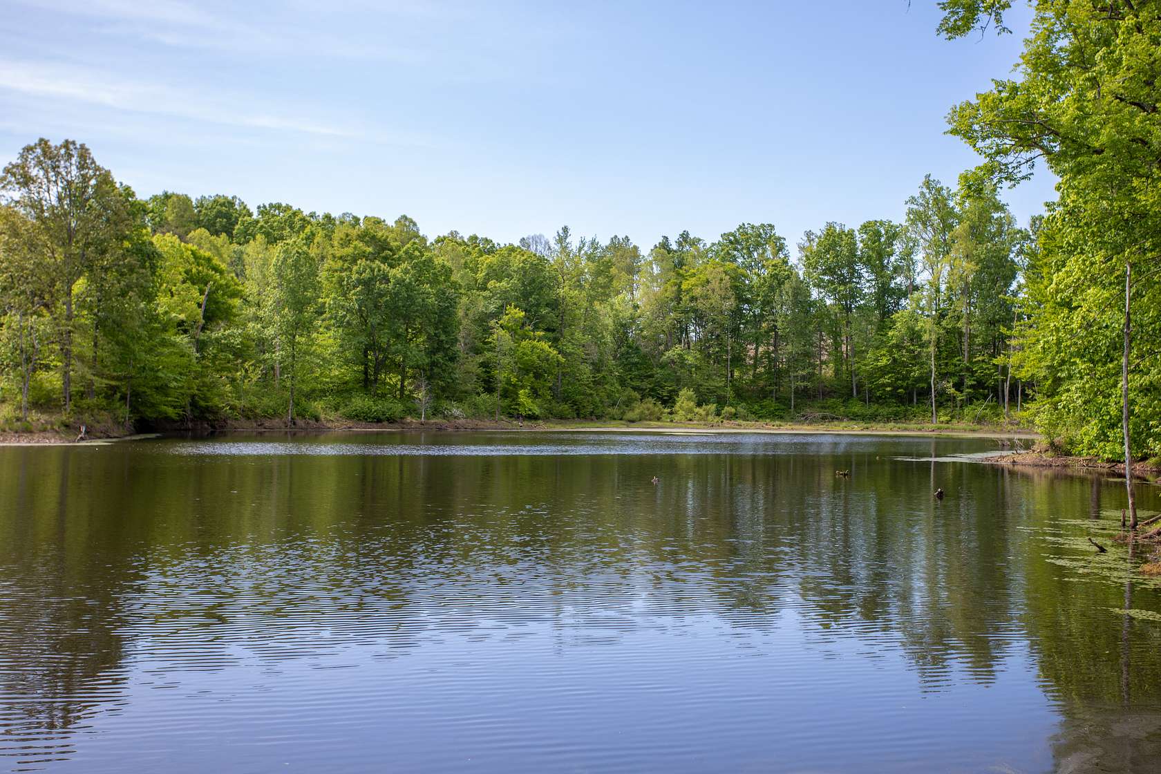 15 Acres of Recreational & Residential Land for Sale in Cullen, Virginia