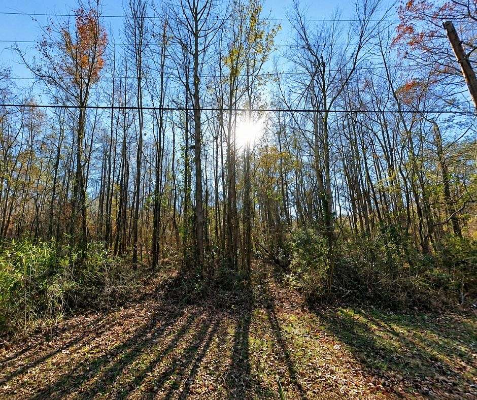 0.49 Acres of Residential Land for Sale in Tarboro, North Carolina