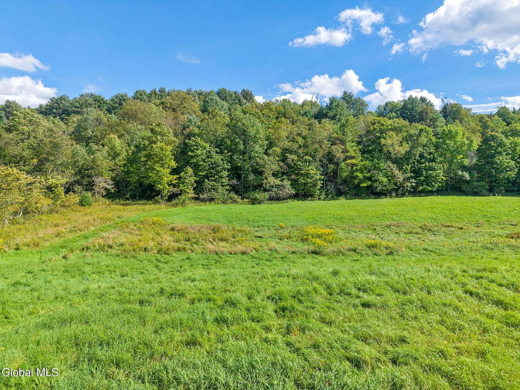 21.5 Acres of Recreational & Residential Land for Sale in Gilboa, New York