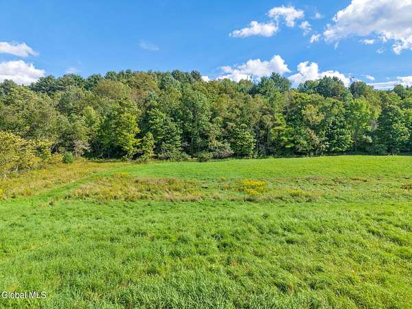 21.5 Acres of Recreational & Residential Land for Sale in Gilboa, New York