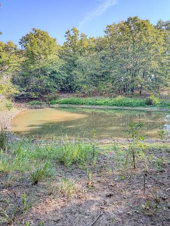 10.7 Acres of Land for Sale in Tushka, Oklahoma