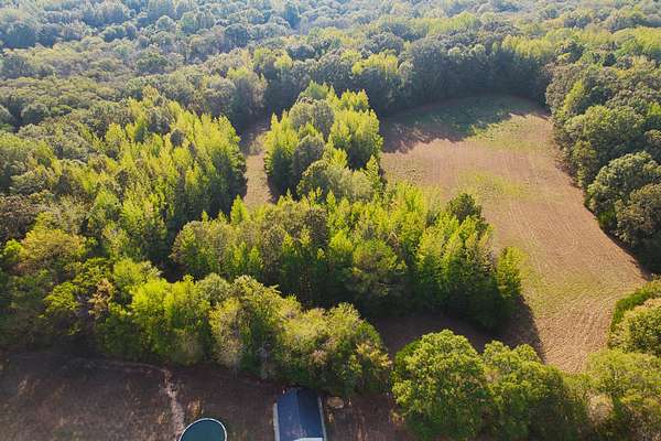 63 Acres of Recreational Land for Sale in Henderson, Tennessee