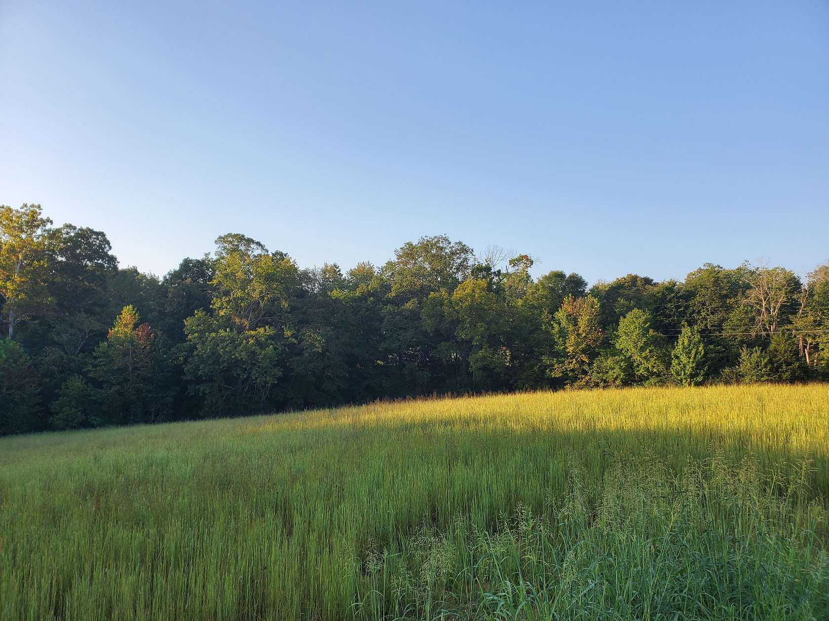 3 Acres of Residential Land for Sale in Southside, Tennessee