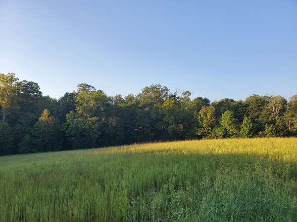 3 Acres of Residential Land for Sale in Southside, Tennessee