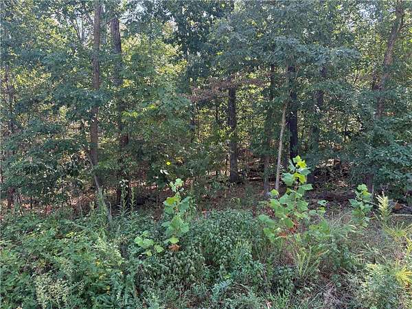 0.33 Acres of Residential Land for Sale in Bella Vista, Arkansas