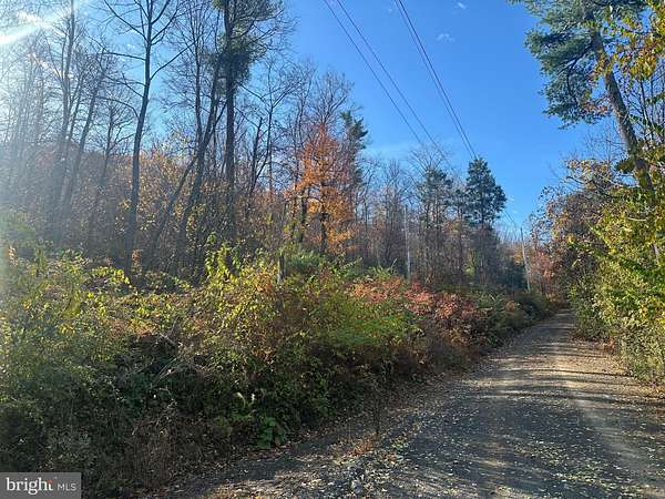 16.7 Acres of Recreational & Residential Land for Sale in Spring Mills, Pennsylvania
