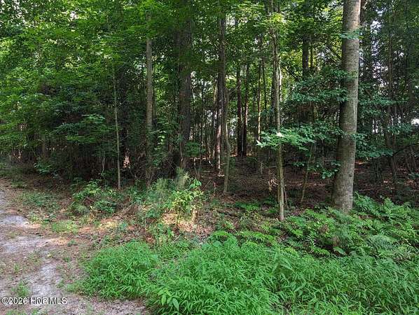 10.2 Acres of Recreational & Residential Land for Sale in Clarkton, North Carolina
