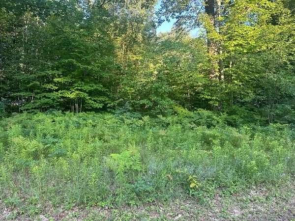 0.32 Acres of Residential Land for Sale in Harrison, Michigan