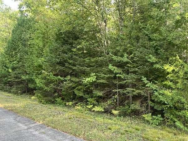 0.32 Acres of Residential Land for Sale in Presque Isle, Michigan
