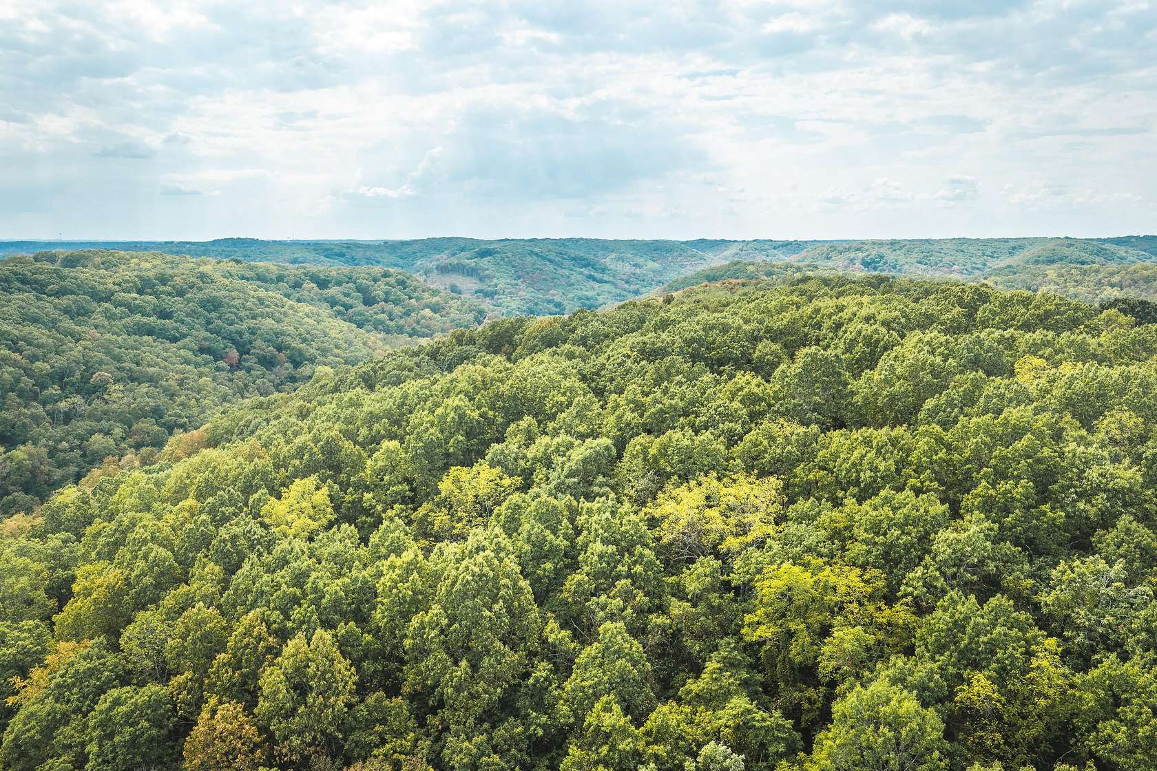 40 Acres of Recreational & Residential Land for Sale in Reeds Spring, Missouri