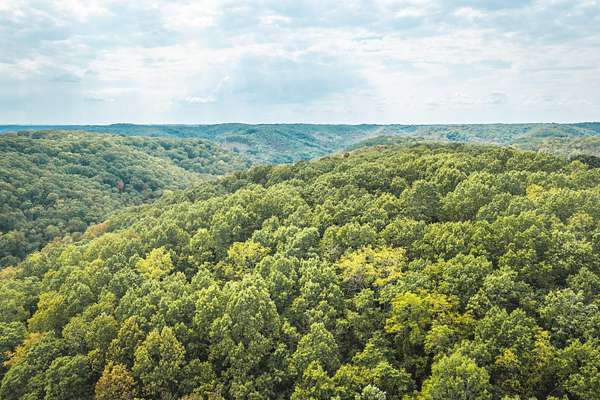 40 Acres of Recreational & Residential Land for Sale in Reeds Spring, Missouri