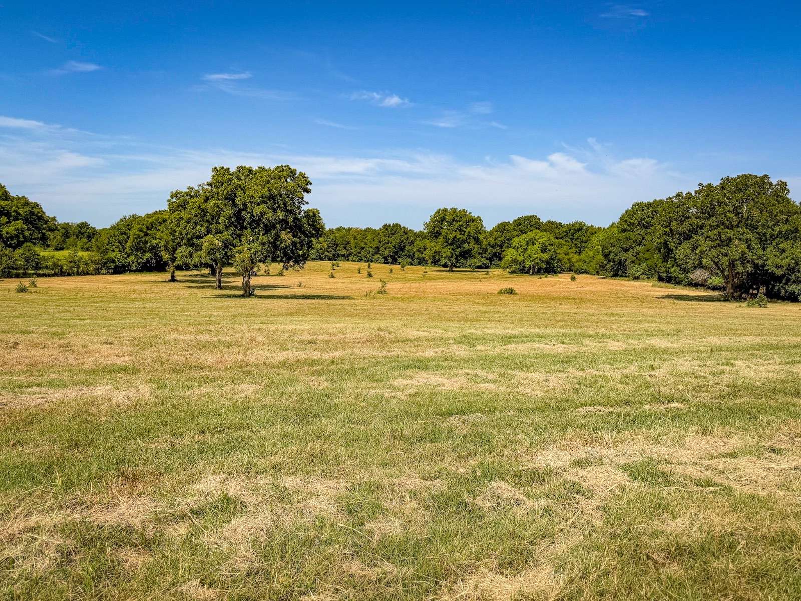 80 Acres of Land for Sale in Lehigh, Oklahoma