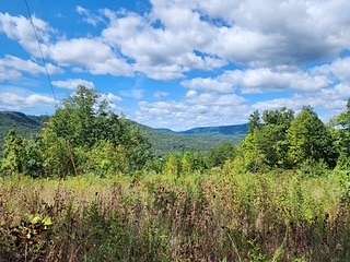 14.3 Acres of Land for Sale in Jamestown, Tennessee