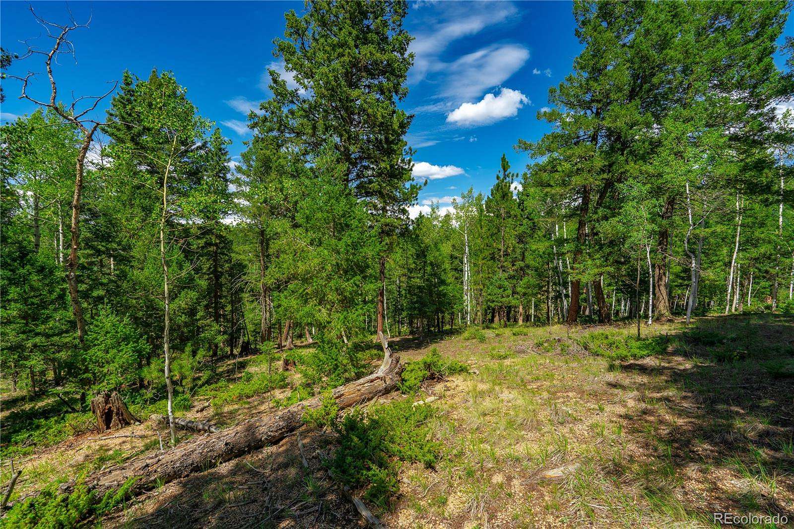 2.54 Acres of Residential Land for Sale in Divide, Colorado