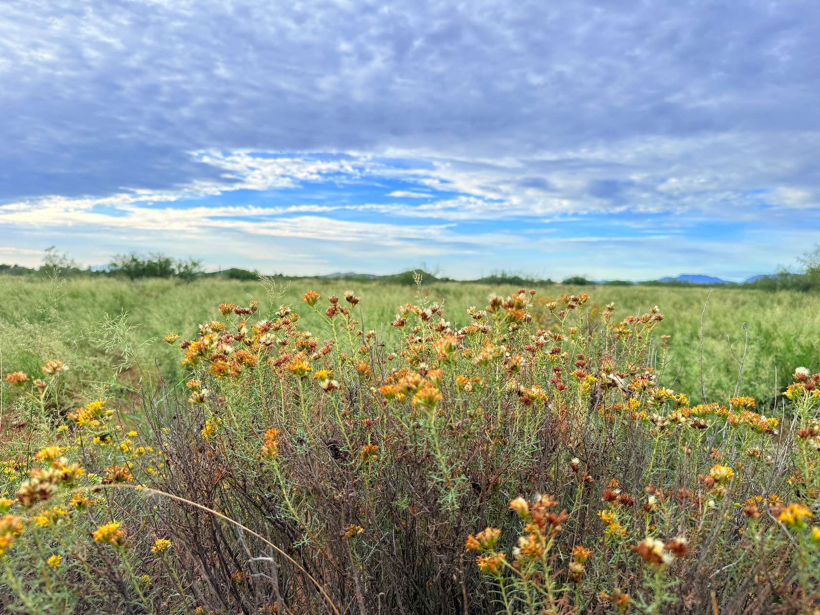 0.83 Acres of Residential Land for Sale in Pearce, Arizona