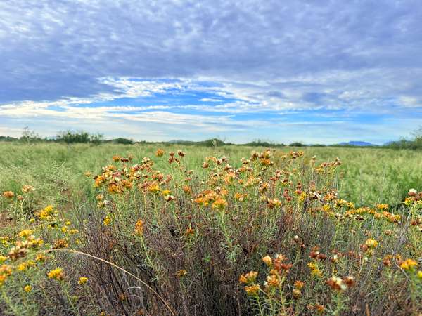 0.83 Acres of Residential Land for Sale in Pearce, Arizona
