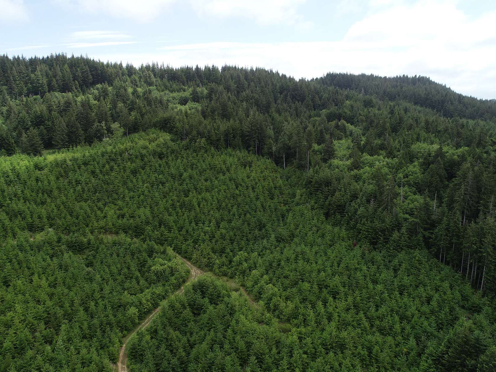 34.3 Acres of Recreational Land for Sale in Bandon, Oregon
