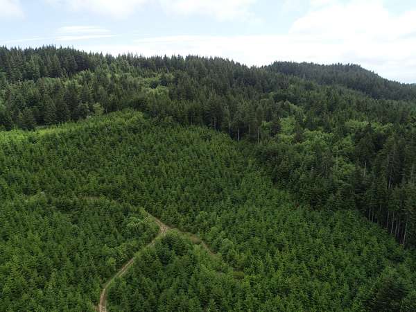 34.3 Acres of Recreational Land for Sale in Bandon, Oregon