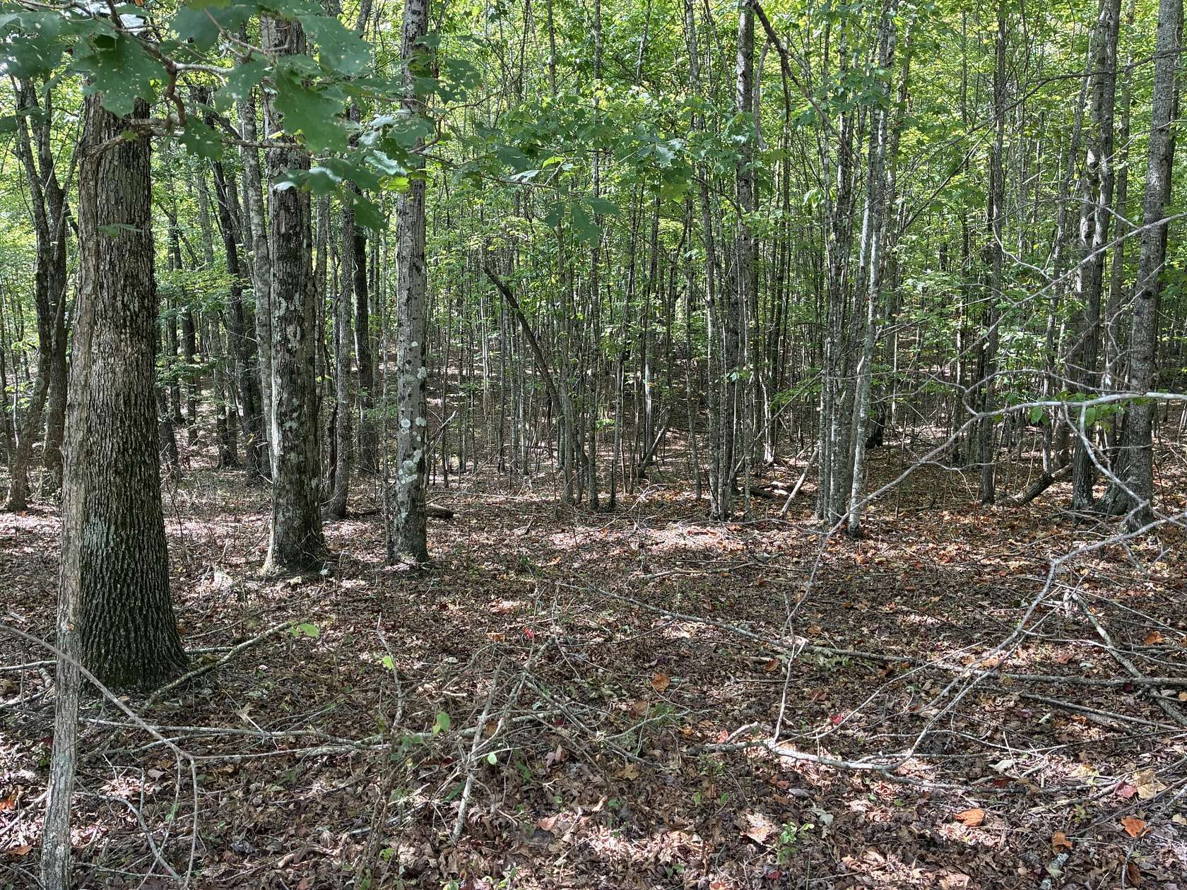 2.82 Acres of Land for Sale in Dunlap, Tennessee