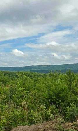 5 Acres of Recreational Land for Sale in Hammondville, Alabama