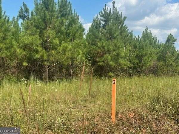 14.3 Acres of Recreational & Residential Land for Sale in Monticello, Georgia