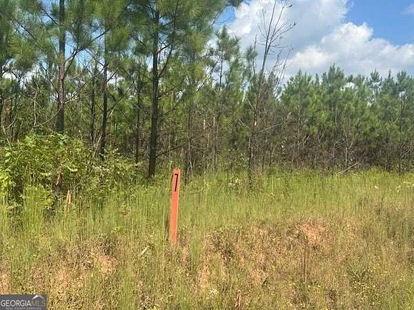 14 Acres of Land for Sale in Monticello, Georgia