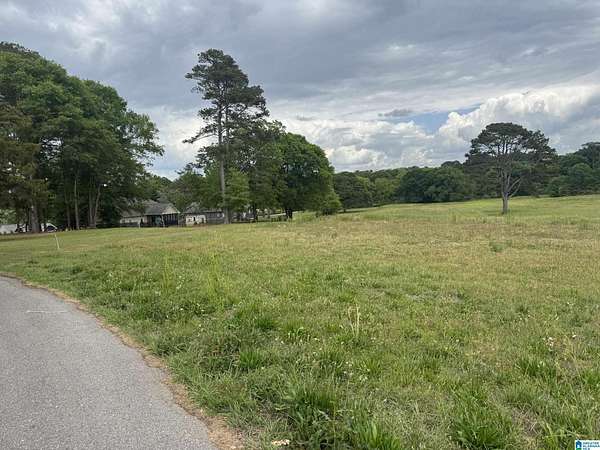 11 Acres of Land for Sale in Pell City, Alabama