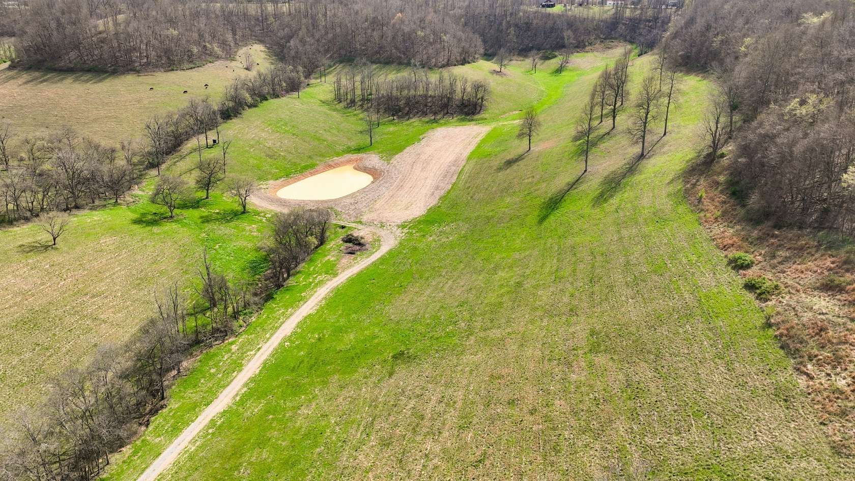 58.3 Acres of Improved Land for Auction in Shelbyville, Tennessee