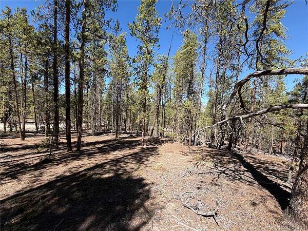 0.91 Acres of Residential Land for Sale in Twin Lakes, Colorado