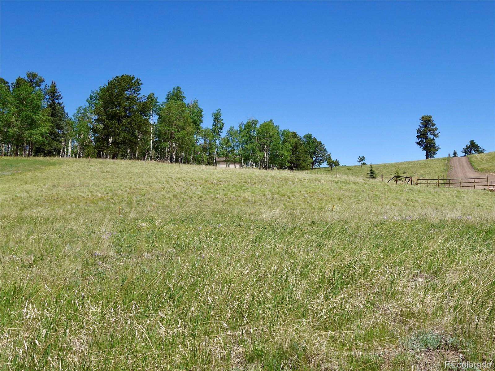 0.72 Acres of Land for Sale in Divide, Colorado
