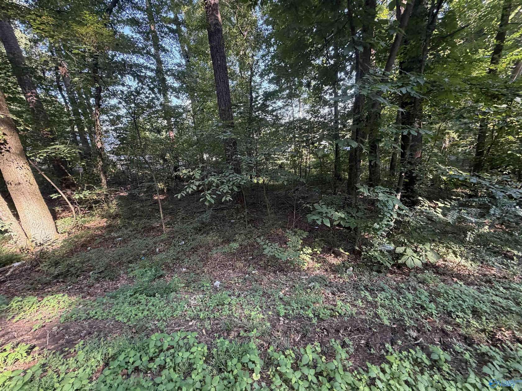 0.53 Acres of Residential Land for Sale in Guntersville, Alabama